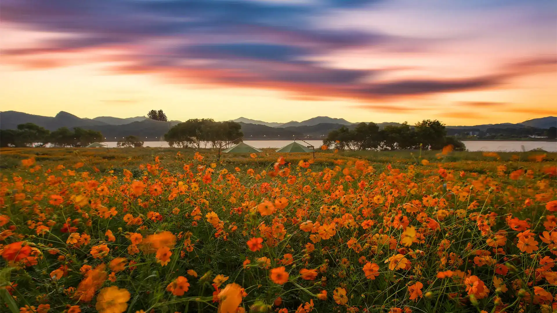 Astro 博客添加访客统计