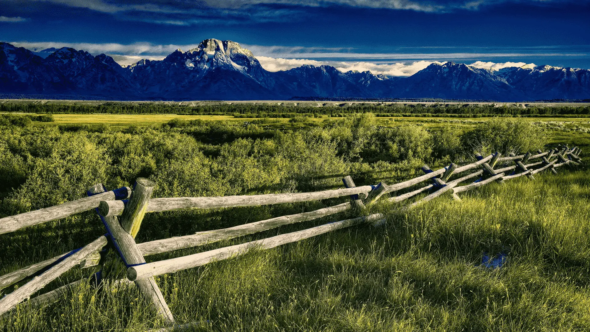 单行循环打字机特效